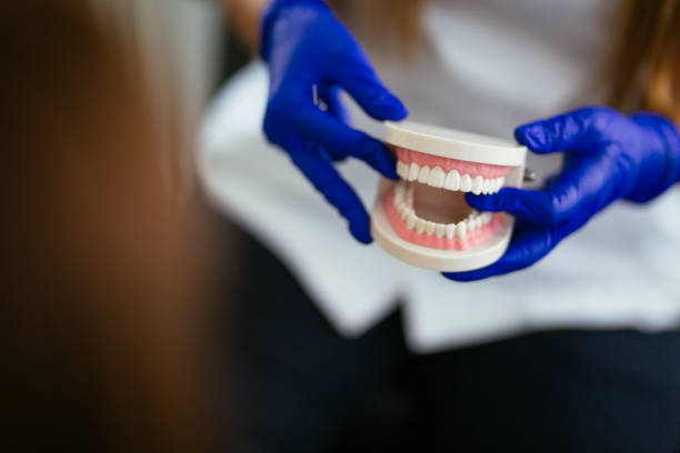 Best Preventive Dentistry  in Tidmore Bend, AL
